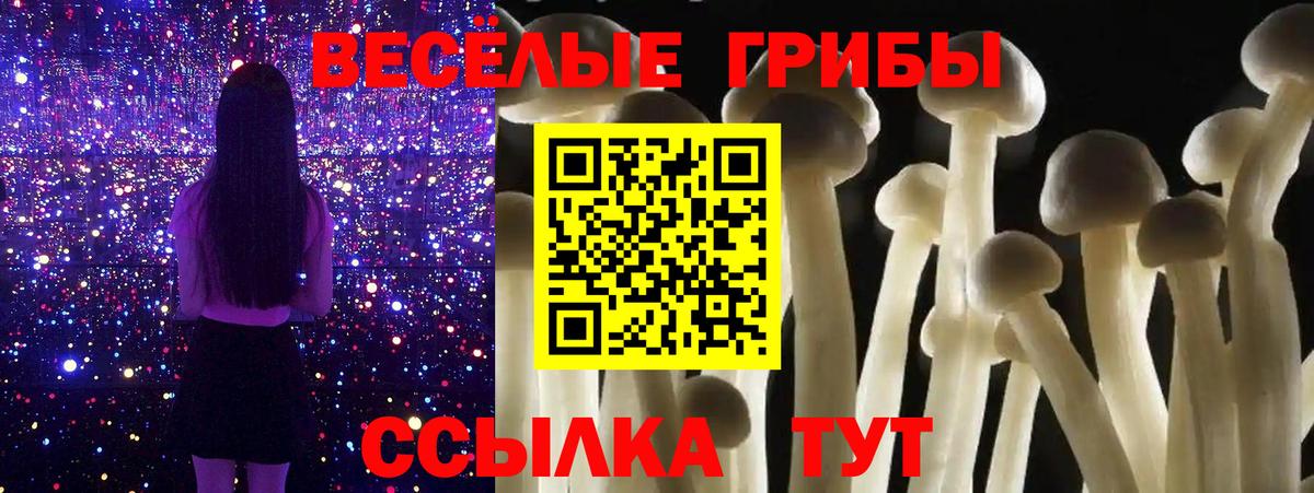 Галлюциногенные грибы MAGIC MUSHROOMS  Галлюциногенные грибы мухоморы  Вход с VPN  Острогожск 